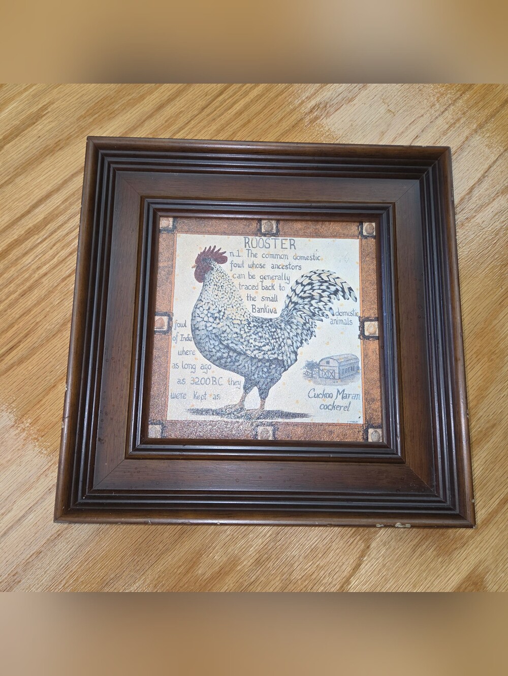 Cuckoo Maran Cockerel Wall Art Framed 10.5" Square Rustic Chicken Kitchen